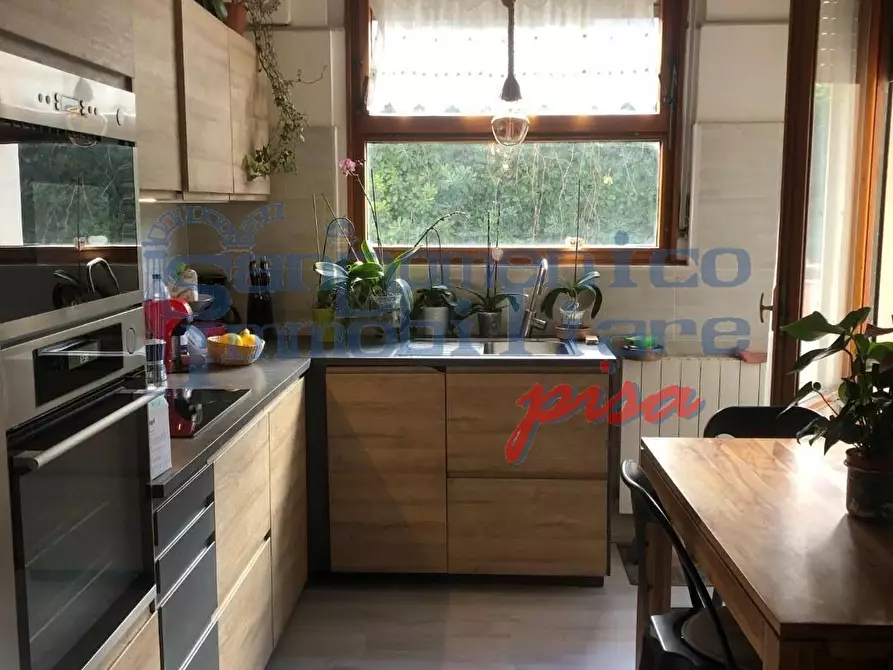 Immagine 3 di Appartamento in vendita  a Pisa