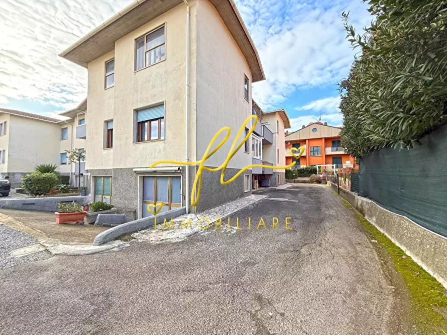 Immagine 18 di Appartamento in vendita  a Cecina