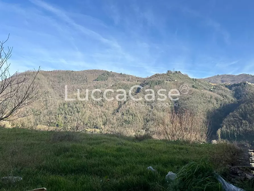 Immagine 32 di Terratetto in vendita  a Borgo A Mozzano
