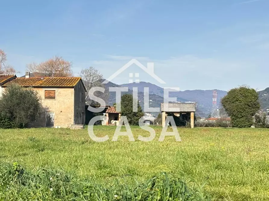 Immagine 29 di Terratetto in vendita  a Pescia