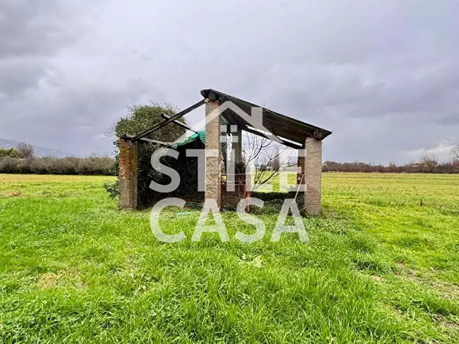 Immagine 4 di Terratetto in vendita  a Pescia