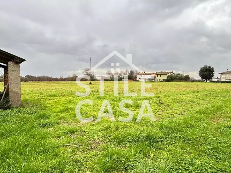 Immagine 3 di Terratetto in vendita  a Pescia