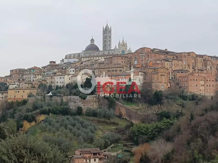 Immagine 2 di Appartamento in vendita  a Siena