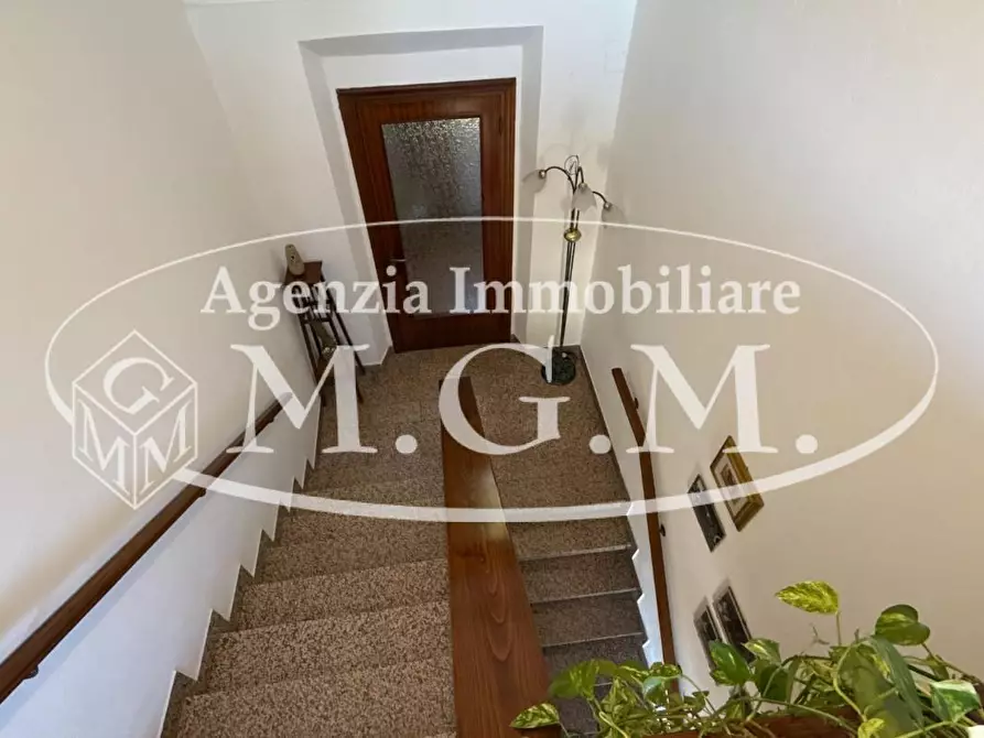 Immagine 42 di Casa colonica in vendita  a Vicopisano