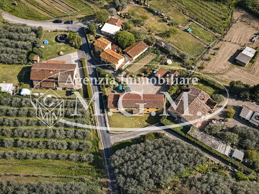 Immagine 29 di Casa colonica in vendita  a Vicopisano