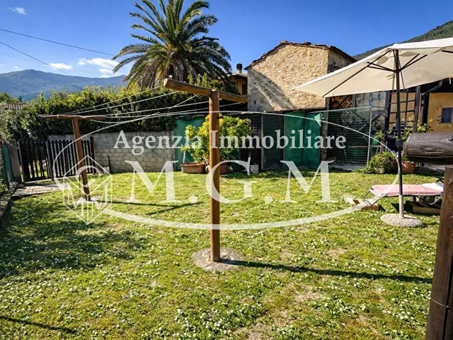 Immagine 33 di Casa colonica in vendita  a Vicopisano