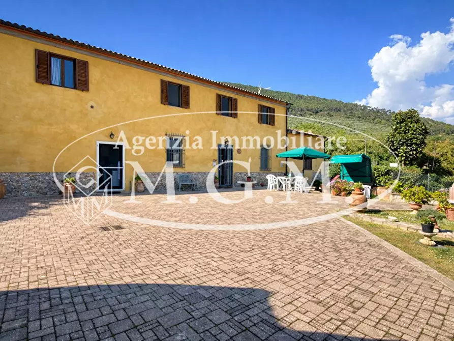 Immagine 34 di Casa colonica in vendita  a Vicopisano