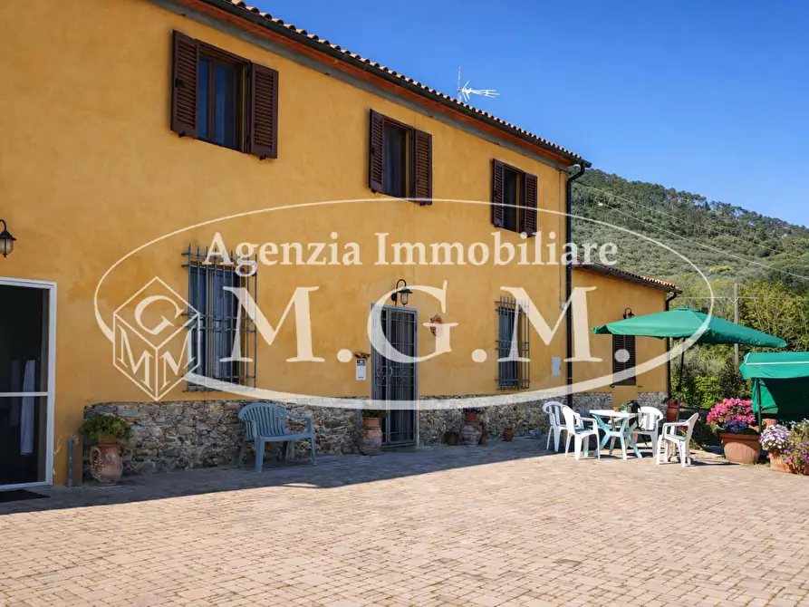 Immagine 30 di Casa colonica in vendita  a Vicopisano