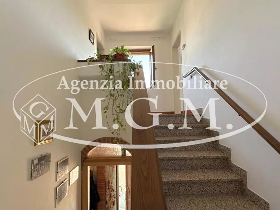 Immagine 19 di Casa colonica in vendita  a Vicopisano