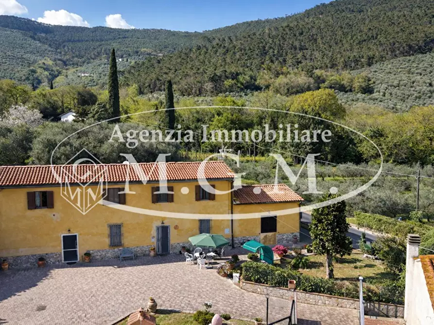 Immagine 31 di Casa colonica in vendita  a Vicopisano