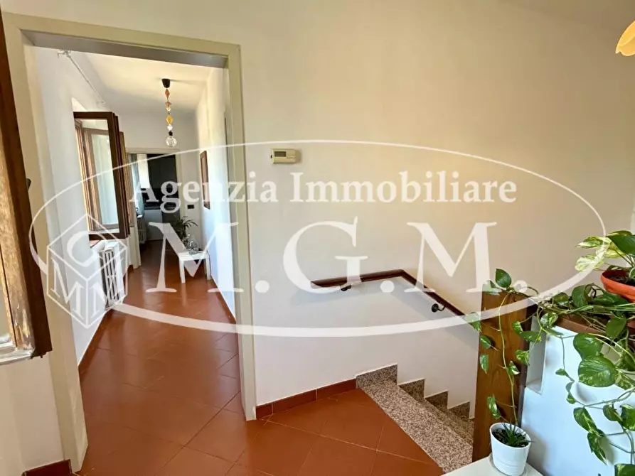 Immagine 21 di Casa colonica in vendita  a Vicopisano