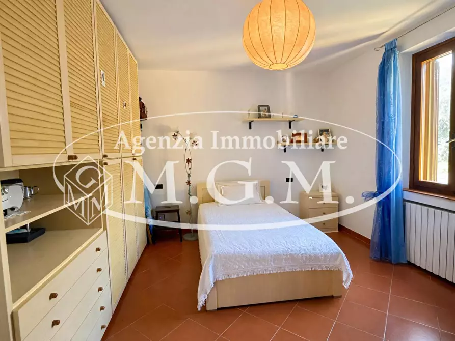 Immagine 27 di Casa colonica in vendita  a Vicopisano