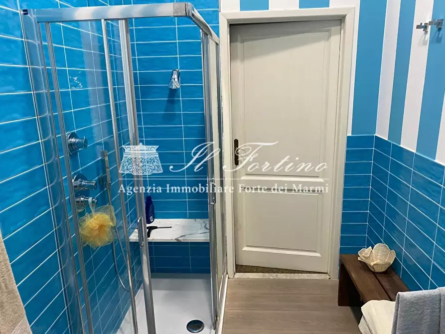 Immagine 33 di Casa indipendente in affitto  a Forte Dei Marmi