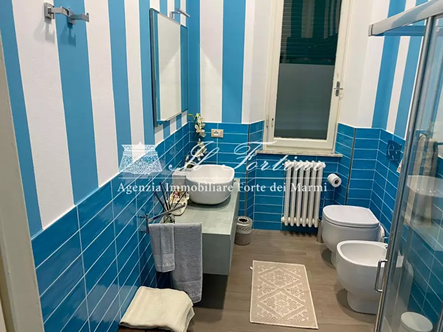 Immagine 25 di Casa indipendente in affitto  a Forte Dei Marmi