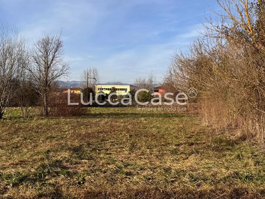 Immagine 4 di Terreno agricolo in vendita  a Capannori