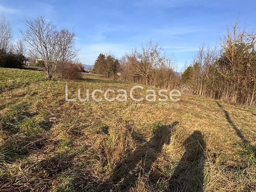 Immagine 5 di Terreno agricolo in vendita  a Capannori