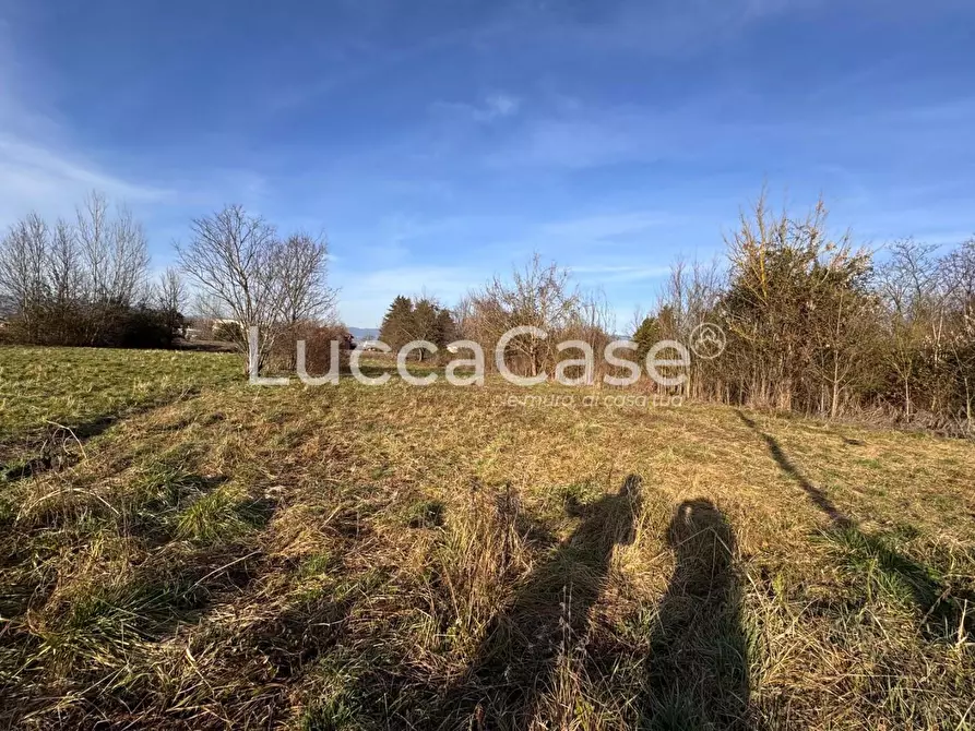 Immagine 2 di Terreno agricolo in vendita  a Capannori