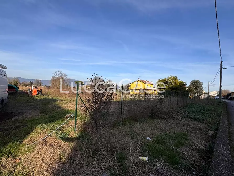 Immagine 3 di Terreno agricolo in vendita  a Capannori