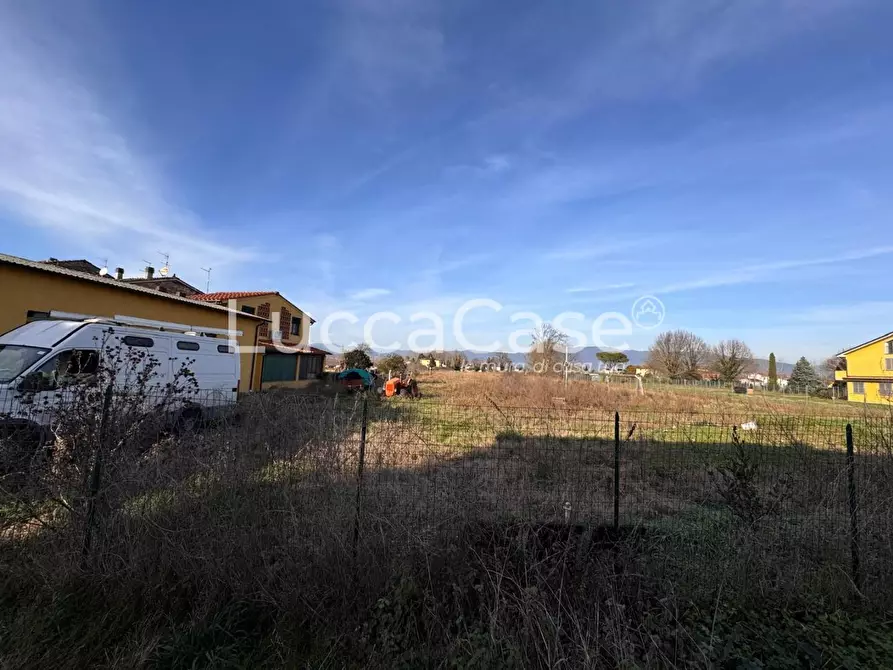Immagine 7 di Terreno agricolo in vendita  a Capannori