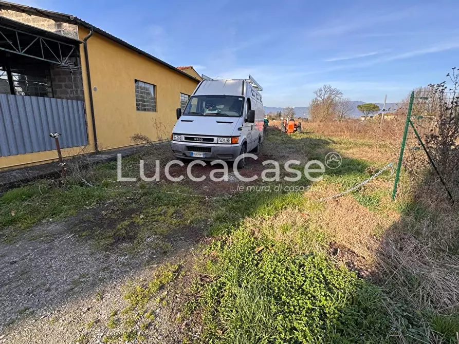 Immagine 6 di Terreno agricolo in vendita  a Capannori