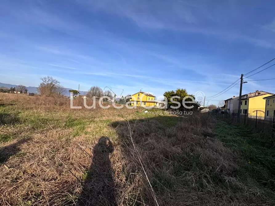 Immagine 1 di Terreno agricolo in vendita  a Capannori