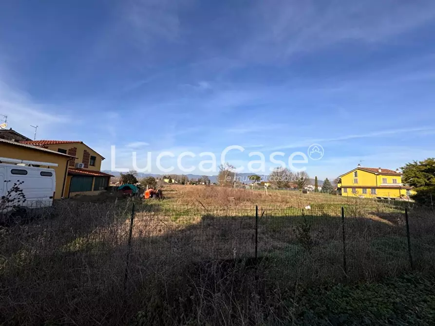 Immagine 5 di Terreno agricolo in vendita  a Capannori