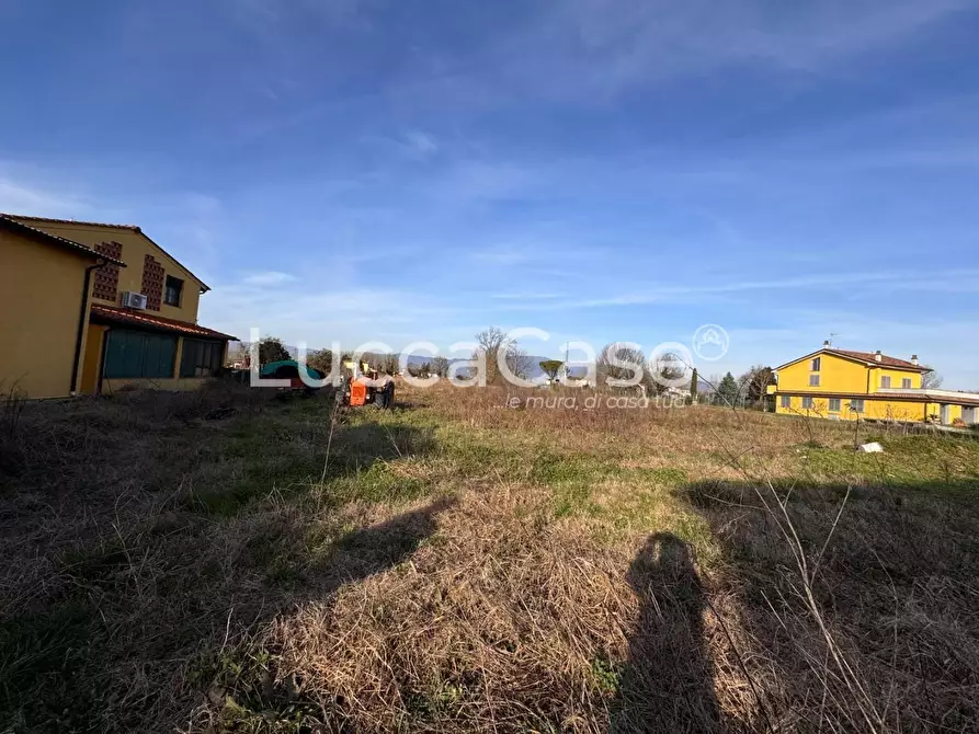 Immagine 8 di Terreno agricolo in vendita  a Capannori
