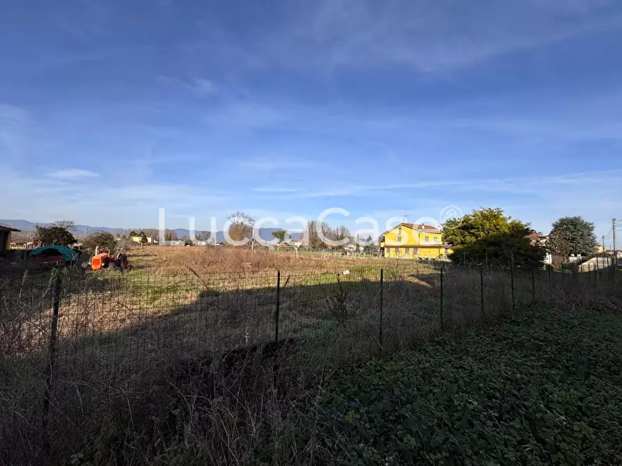 Immagine 4 di Terreno agricolo in vendita  a Capannori