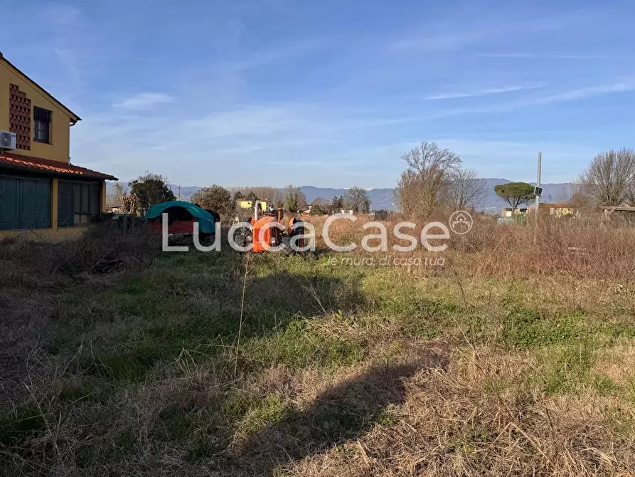 Immagine 2 di Terreno agricolo in vendita  a Capannori