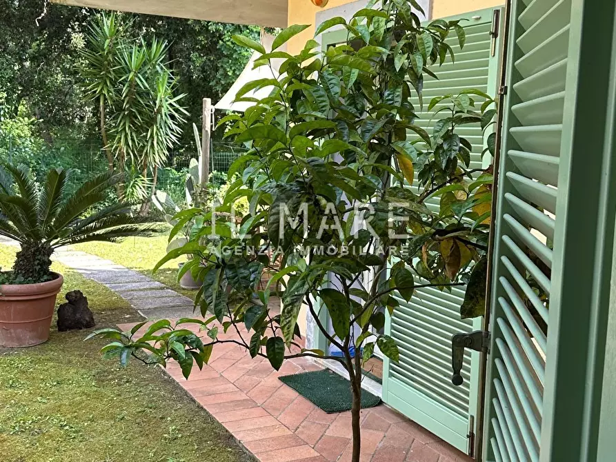 Immagine 2 di Villetta a schiera in vendita  a Massa