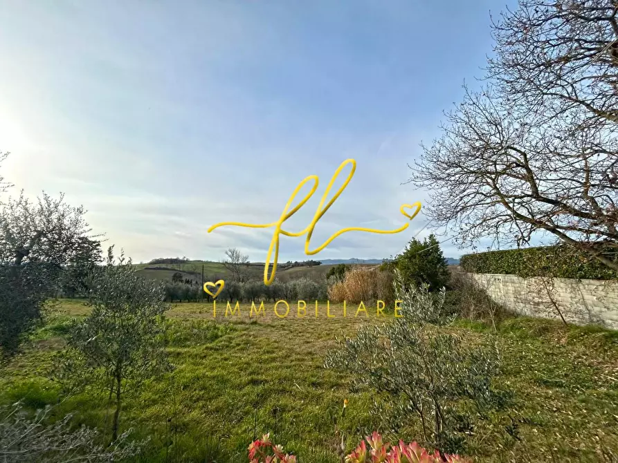 Immagine 16 di Casa bifamiliare in vendita  a Orciano Pisano