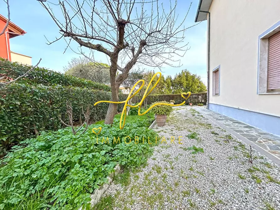 Immagine 18 di Casa bifamiliare in vendita  a Orciano Pisano