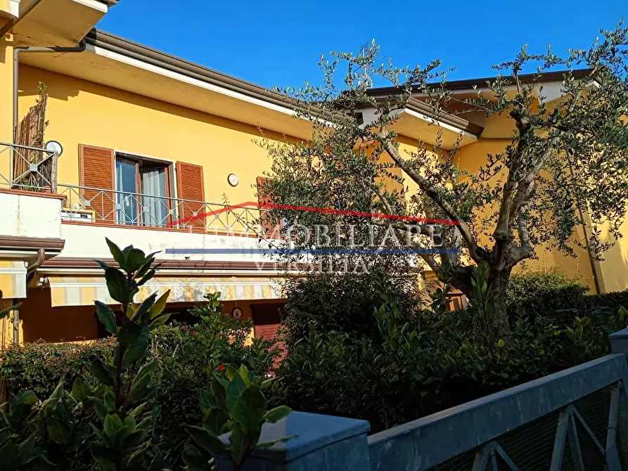 Immagine 7 di Appartamento in vendita  a Massa