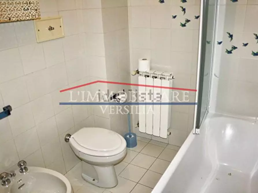 Immagine 8 di Appartamento in vendita  a Massa