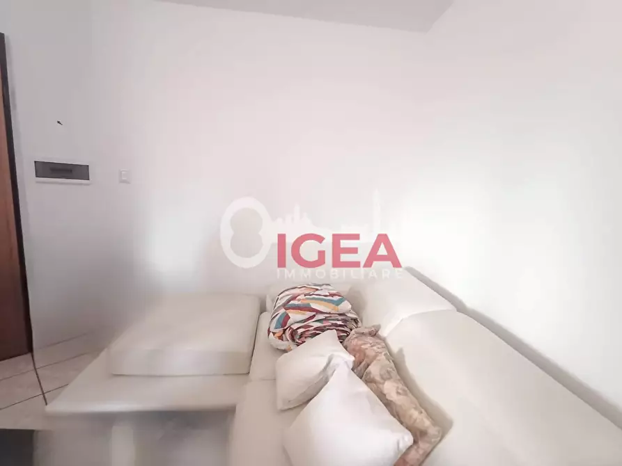 Immagine 22 di Appartamento in vendita  a Monteroni D'arbia