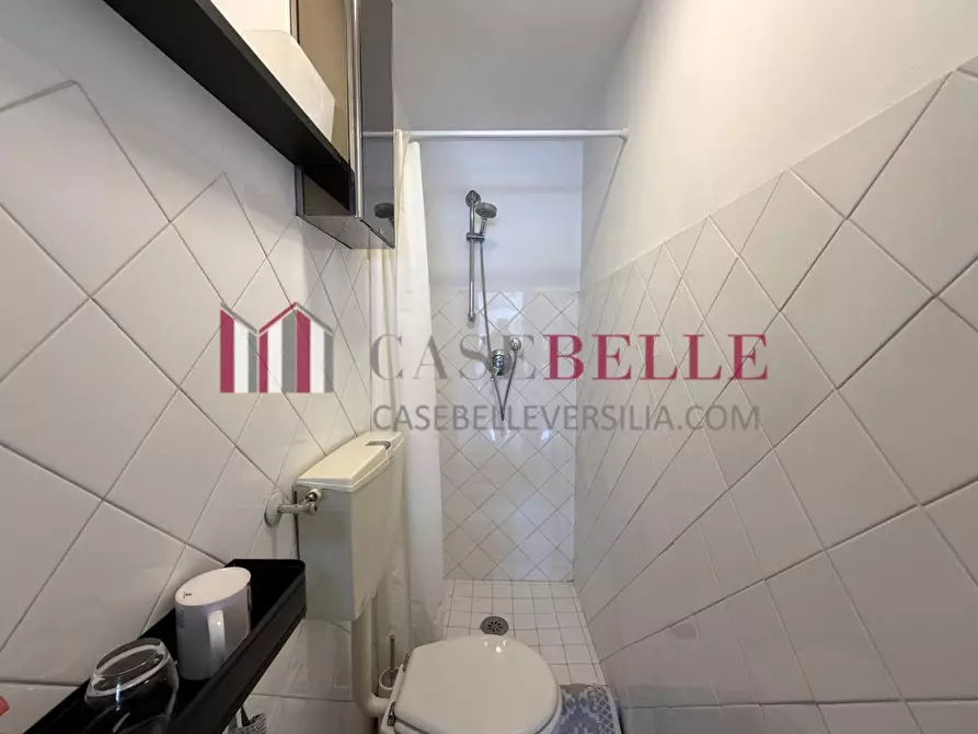 Immagine 13 di Negozio in vendita  a Camaiore