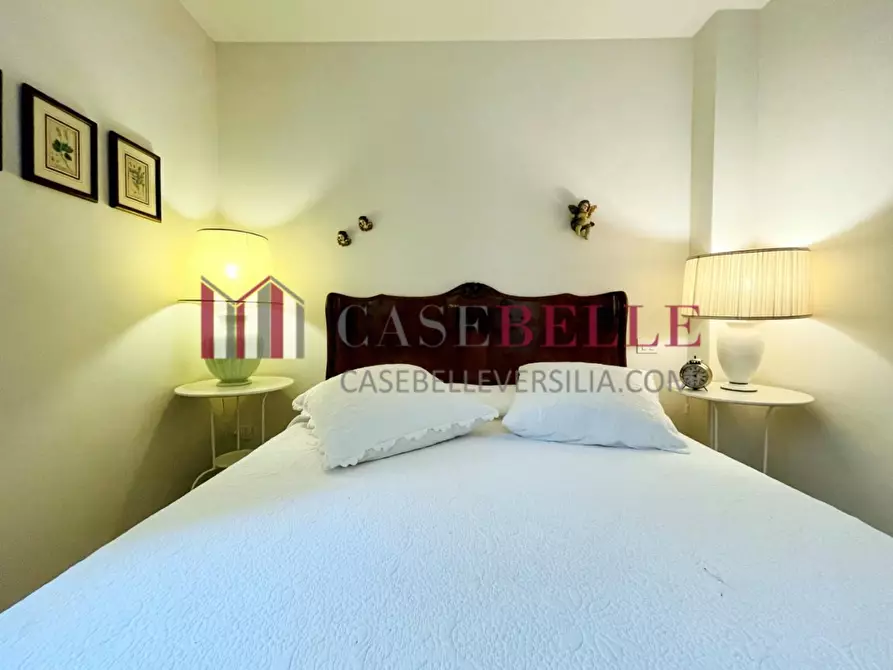 Immagine 50 di Villa in vendita  a Forte Dei Marmi