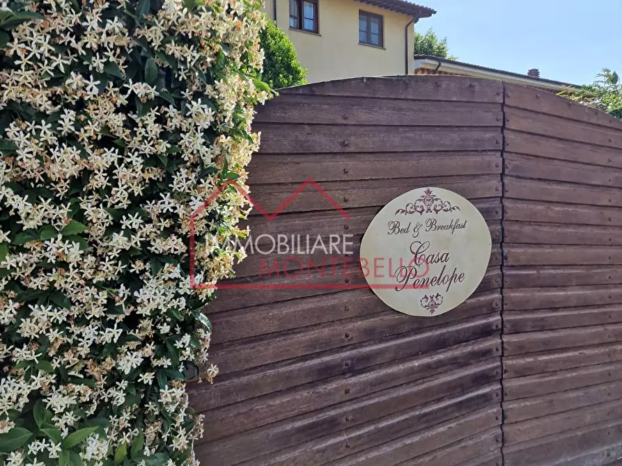 Immagine 51 di Rustico / casale in vendita  a Massarosa