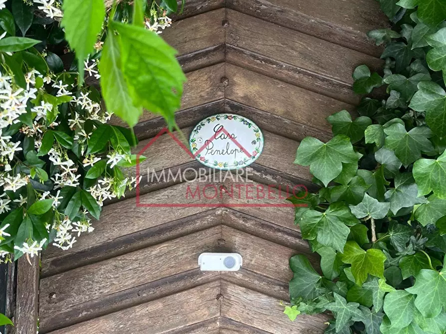 Immagine 53 di Rustico / casale in vendita  a Massarosa