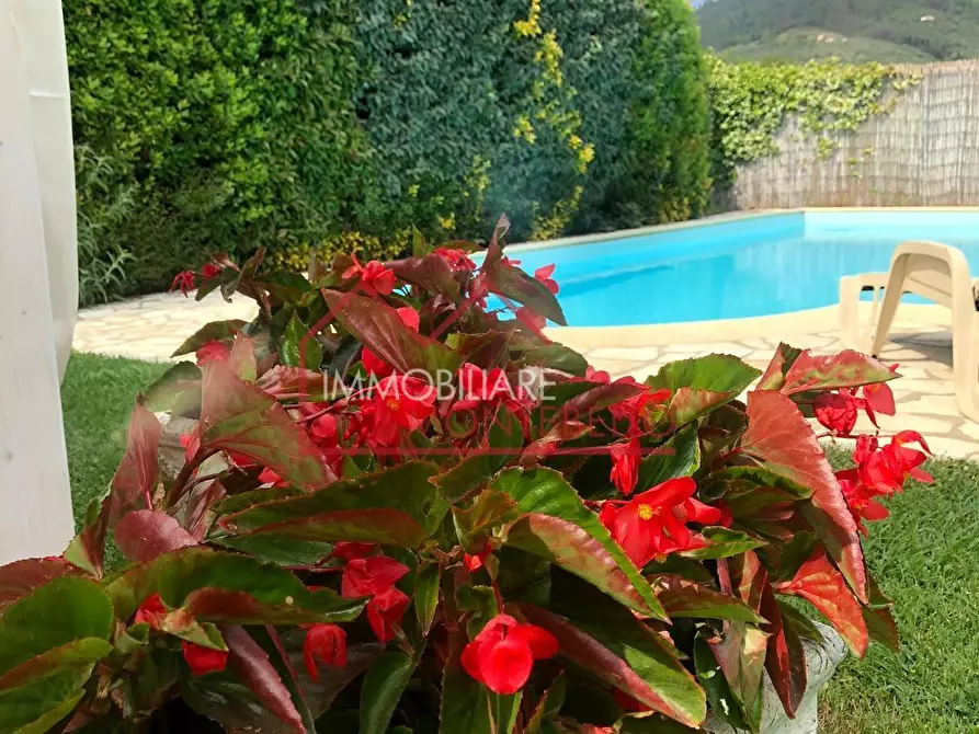 Immagine 25 di Rustico / casale in vendita  a Massarosa