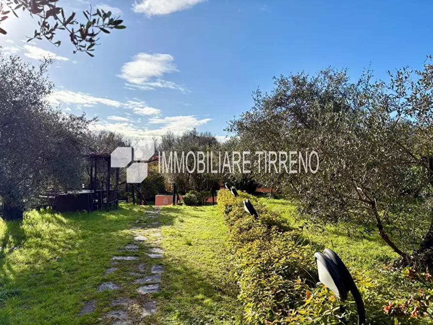 Immagine 22 di Villa in vendita  a Massa