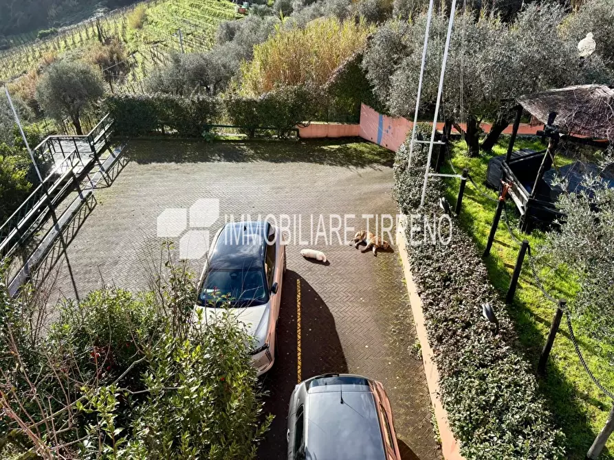 Immagine 24 di Villa in vendita  a Massa