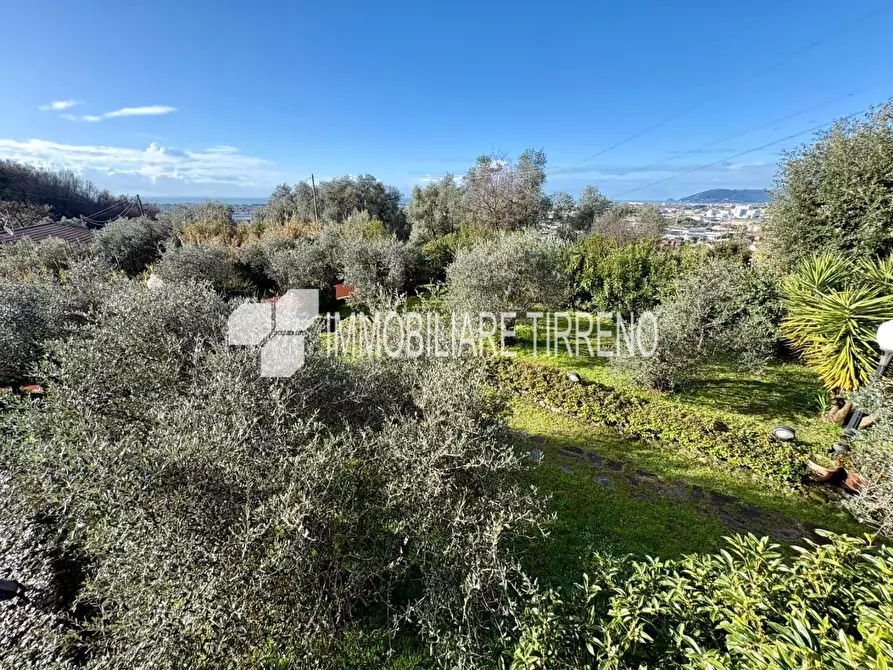 Immagine 23 di Villa in vendita  a Massa