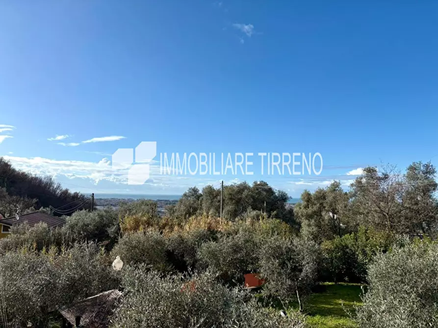 Immagine 25 di Villa in vendita  a Massa