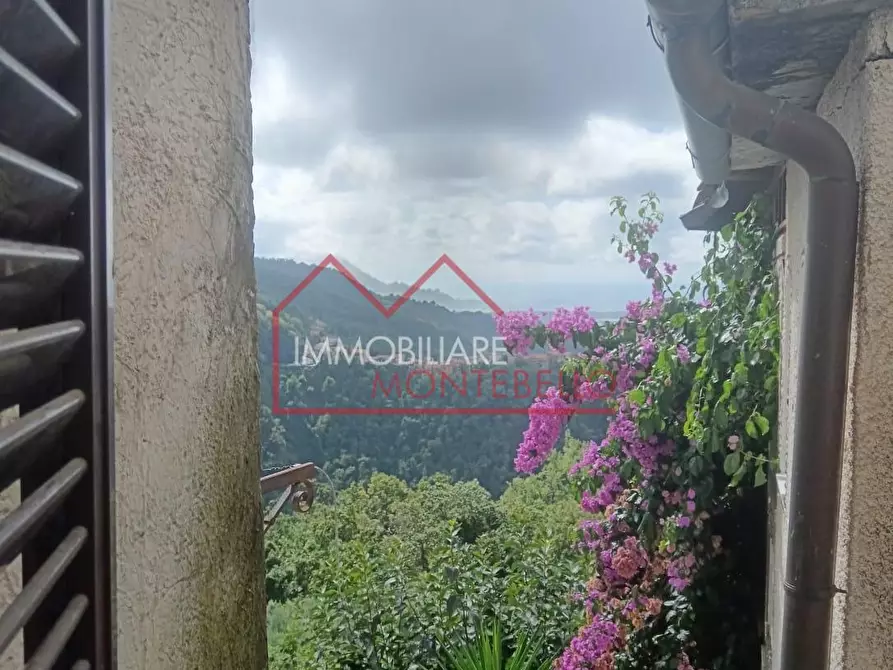 Immagine 6 di Terratetto in vendita  a Massa