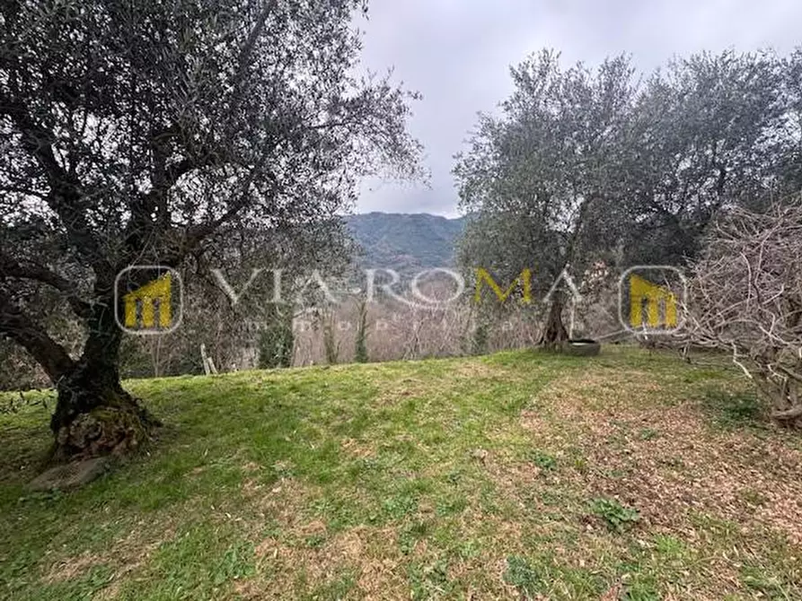 Immagine 11 di Rustico / casale in vendita  a Pescaglia
