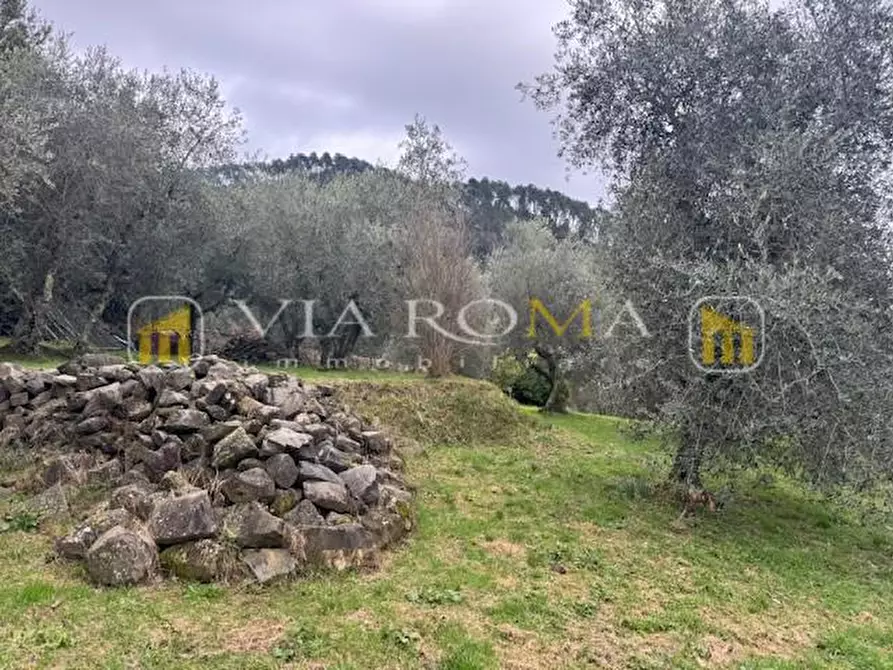 Immagine 15 di Rustico / casale in vendita  a Pescaglia