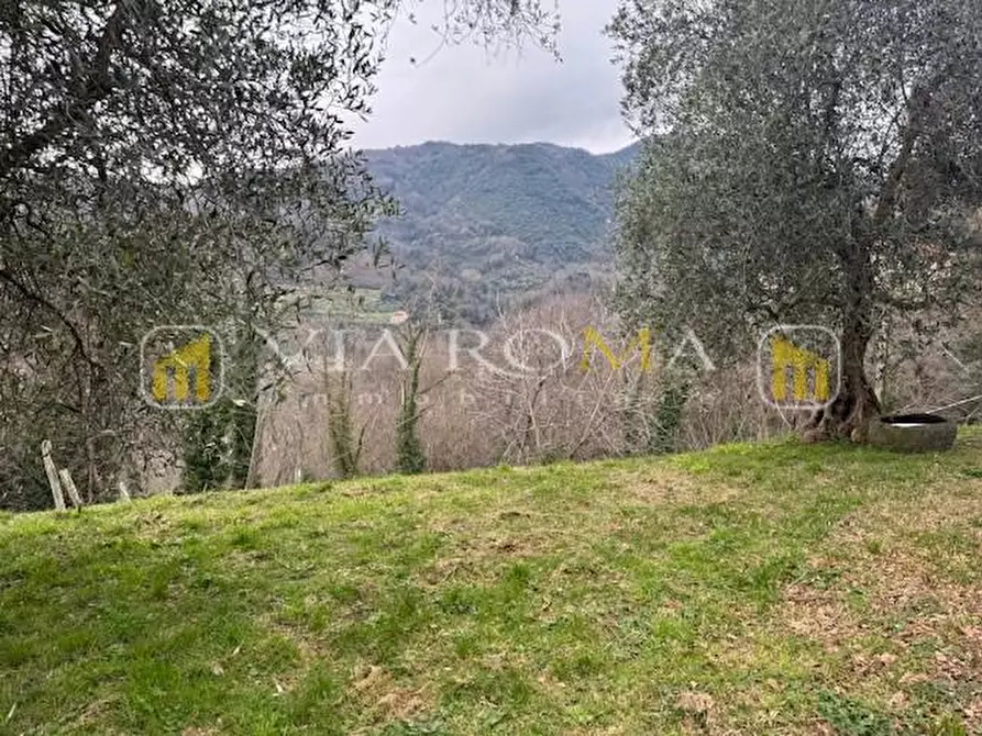 Immagine 10 di Rustico / casale in vendita  a Pescaglia