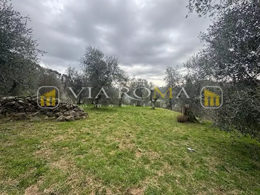 Immagine 12 di Rustico / casale in vendita  a Pescaglia