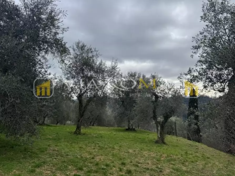 Immagine 16 di Rustico / casale in vendita  a Pescaglia